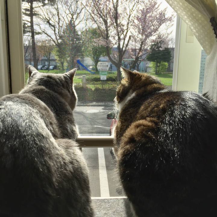 4061e5dc 1b08 4a26 84a7 443cd2a62844