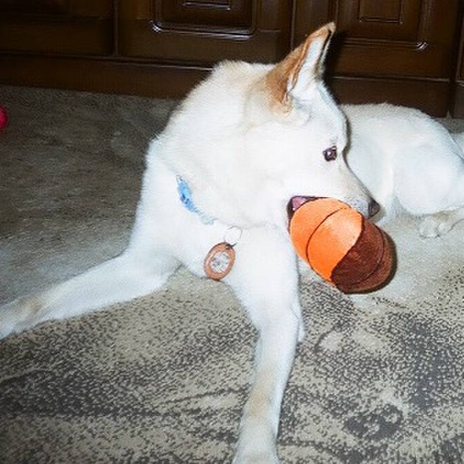 4062165b 4aa6 4337 810a 6e4a130ed85a