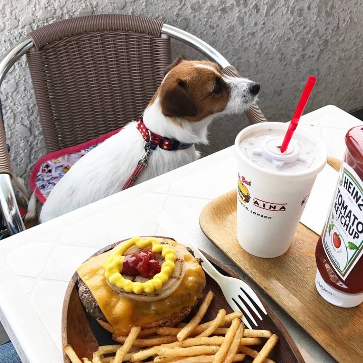 40621735 11b8 4abc af87 853ad7c43a28