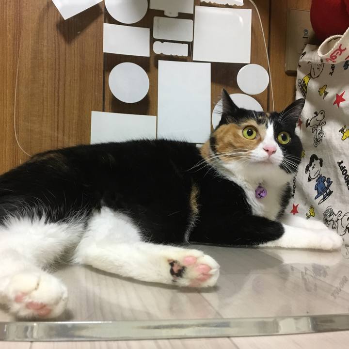 4062608c 2a7d 4dec afc0 815228ff2e1a