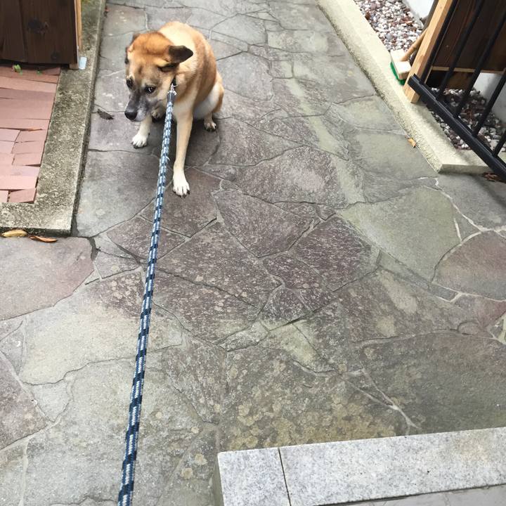 40632f66 77dc 401c 873c 4f212e88714e