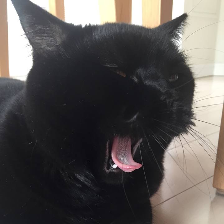 40634005 05e0 440b 9ec5 04c9b2e80b6c