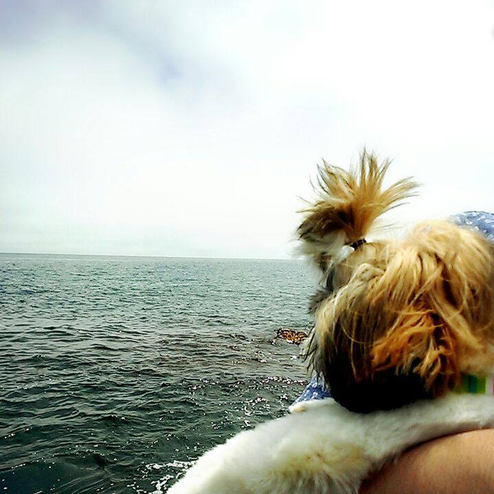 4063686f 91f4 43d5 8323 3412e868884f