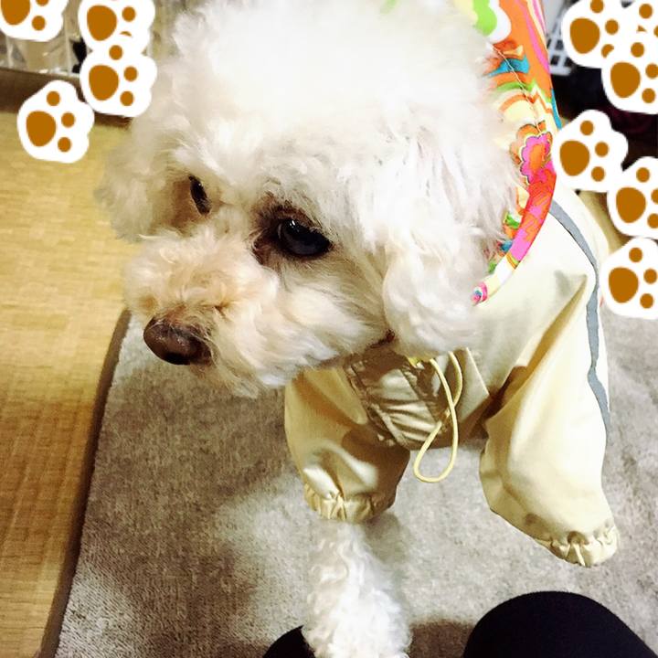 4063d2d3 2a87 4e4c bca5 fa34b88240fb