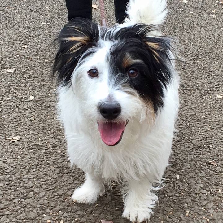 40641dbe 3698 487a bb2e 0a3790e764f6