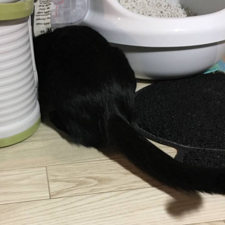 406435c2 b452 49ba b72d 8786eaf8df7b