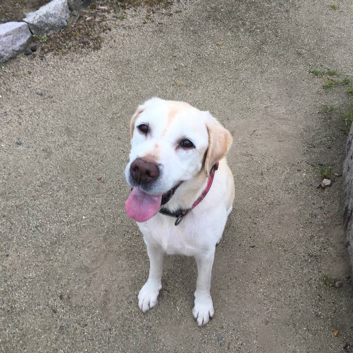 4064654a 6d17 4f08 ba87 4be7574c6907