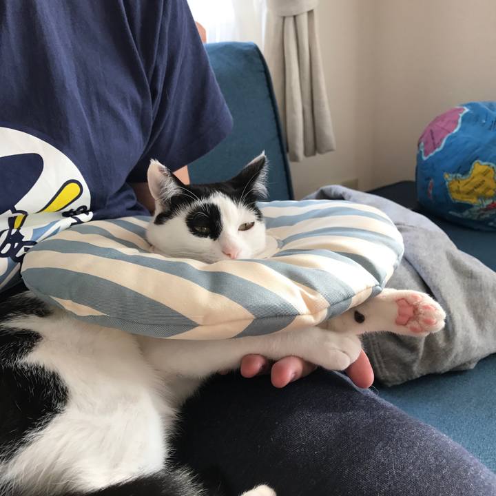 40646843 066e 4ac7 82b6 5d06ec52c9f3