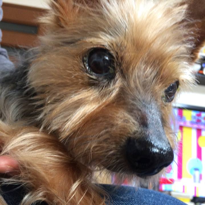 40646a0a 3c0f 4d6a 9631 c21882e5e762