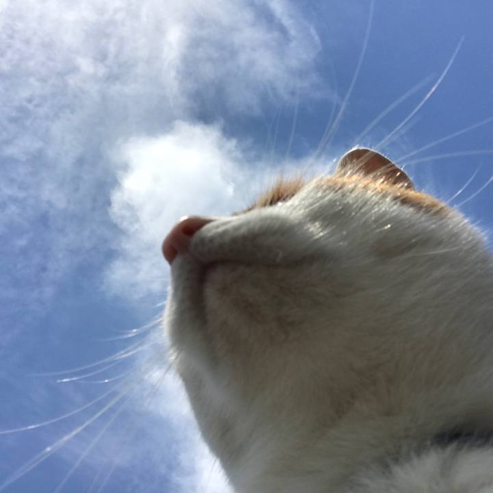 4064b9b8 2aa1 4148 9c05 ac95064ff416