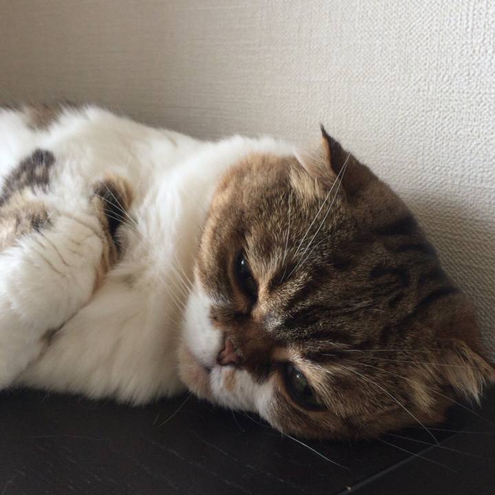 40650805 76c7 4494 8815 000456bb07a9