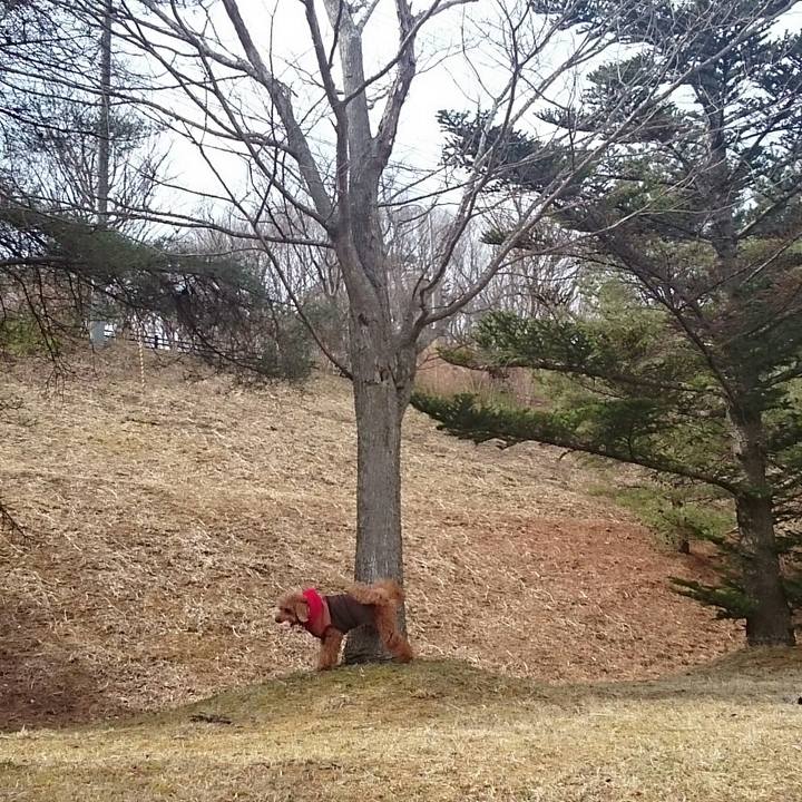 40666792 36a0 46c8 a0ec 4d5bbb2b37d1