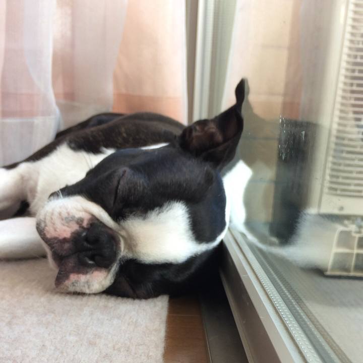 40666f00 c7fa 4ac5 9d93 5dfeeec8c4a3