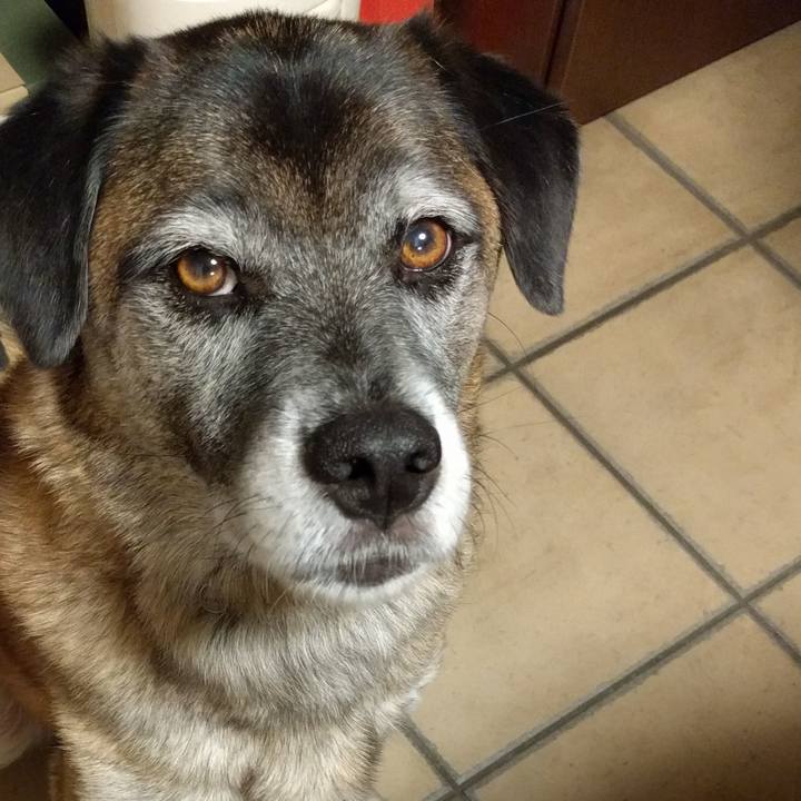 40672514 3716 4ee9 bcaa 0a8daa8ff0f8