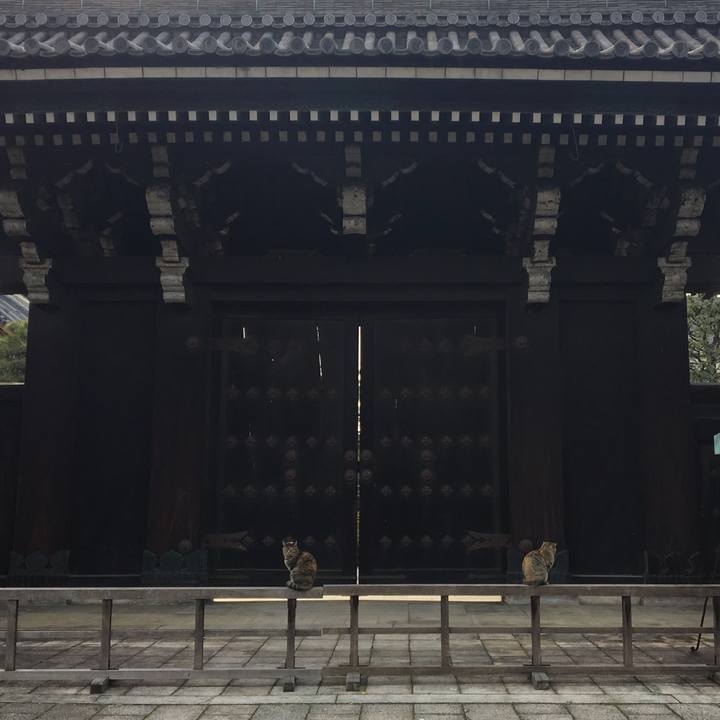 40678eaa 9070 4f36 b014 ae0da8460f32