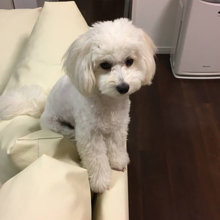 4067dfdb e6ad 4da1 94be 01de1c13aab4