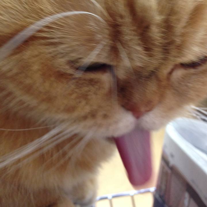 4068333c 7f32 4766 b89e 6a52b59ce5de