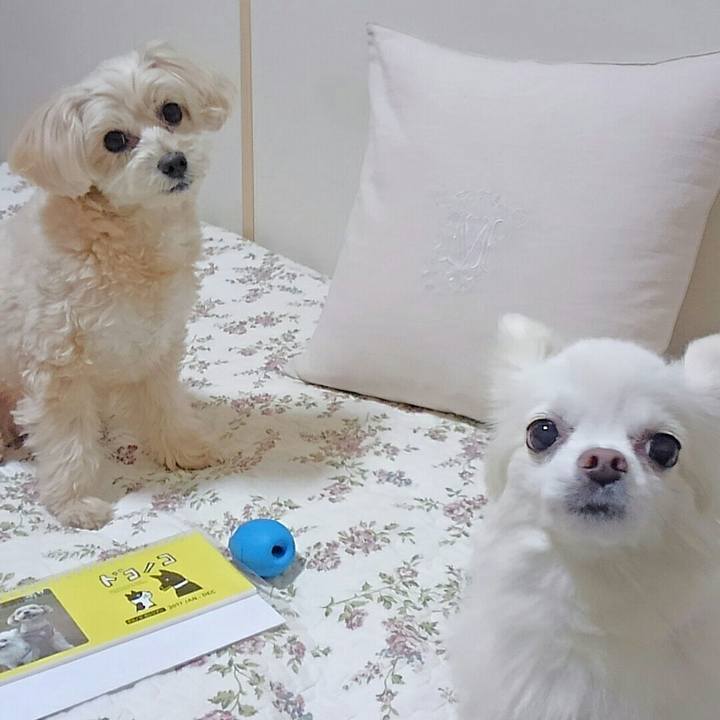 4068b349 61cc 4639 9974 973f45491262