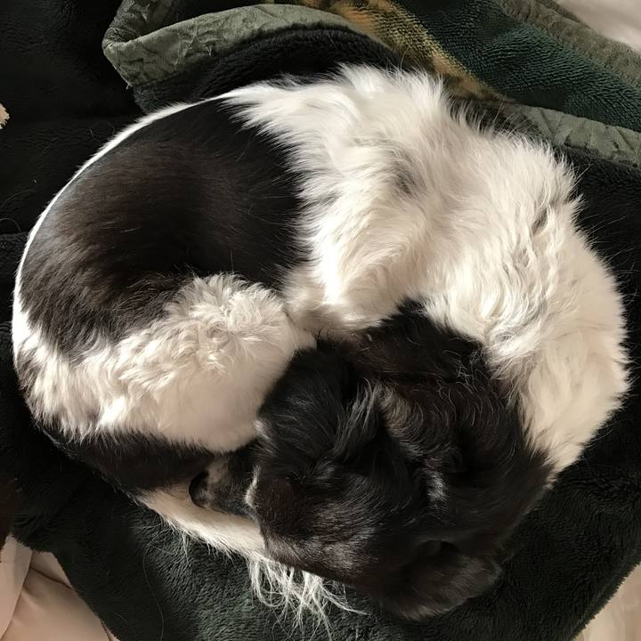 406a8652 bff9 4656 b250 8d0d0d1d7227