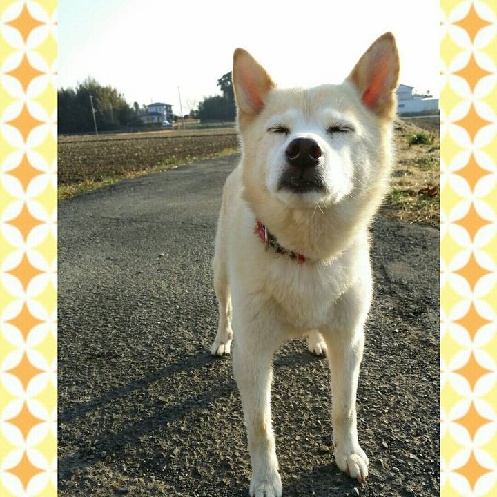 406b2104 9ab9 45fd a746 7873e62f0334