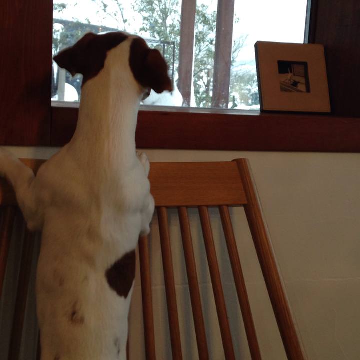 406b3bfe 1161 43fe 98ba 652282d933bd