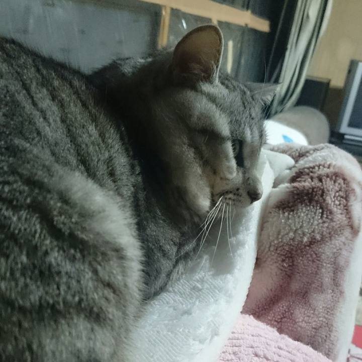 406b8560 ad64 4797 aeac bea65a93bbba