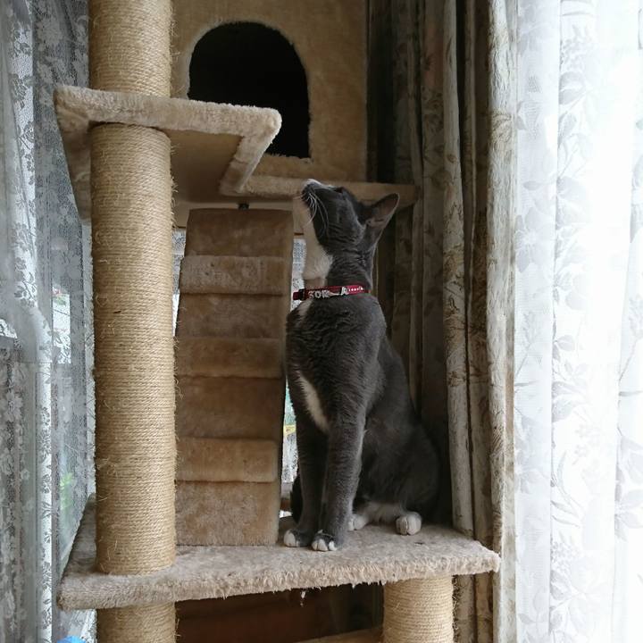 406ba9d9 c951 40c8 9b7c bb160e9beaa2