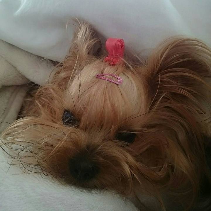 406bf8b3 5906 4e95 80ff 4d41bac3e833