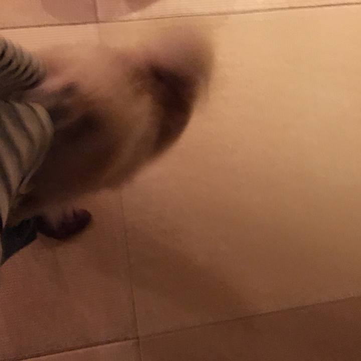 406c2369 d14f 448d b261 499720364ff9