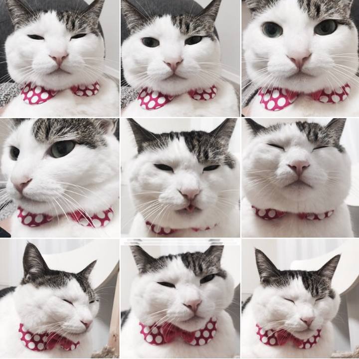 406c8dcb 4cac 4ec9 b3bc f388bf4eaba5