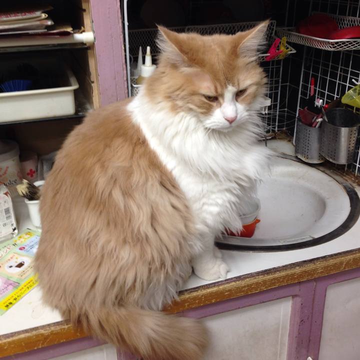 406d3e6f 2335 4eb1 bd05 dc0314f9ae7b