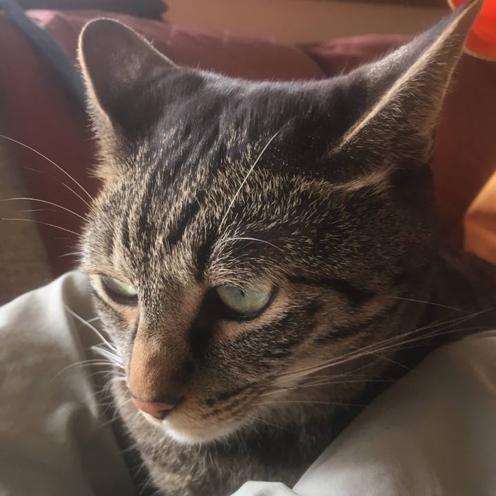 406d9f0d d348 4faf 9798 aaf43af6b445