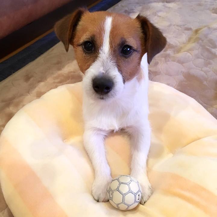 406e1351 00e6 4d17 b86b 2eeeed8fb0c0