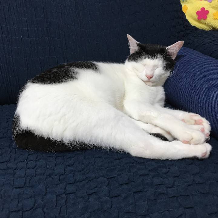 406f0a1a dce7 4ec9 8950 71a92bdcfb73