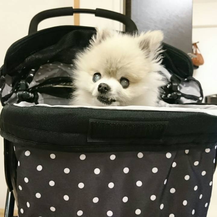 406f0f9c 2831 4d06 bc1f 87d9e4b31ef9