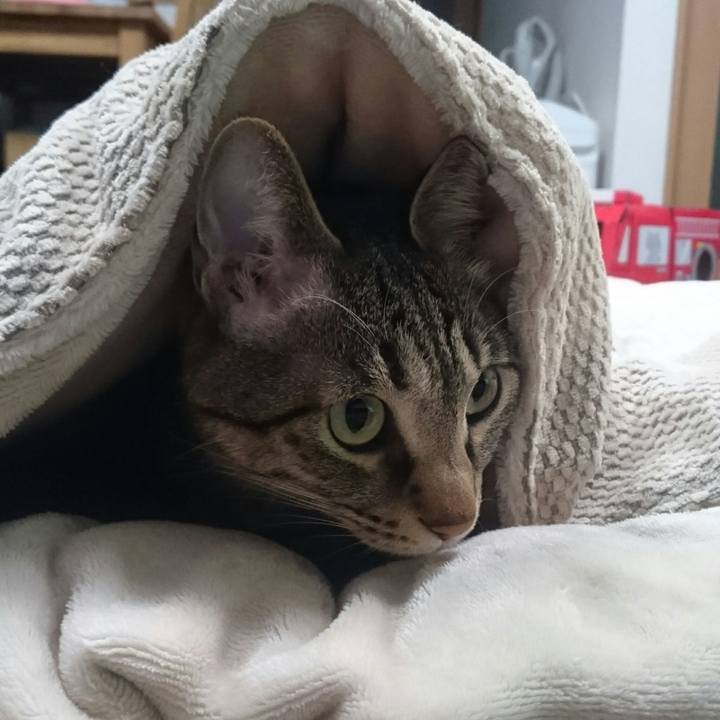 406f54e0 b477 4f78 a5f4 84d4a81857ac