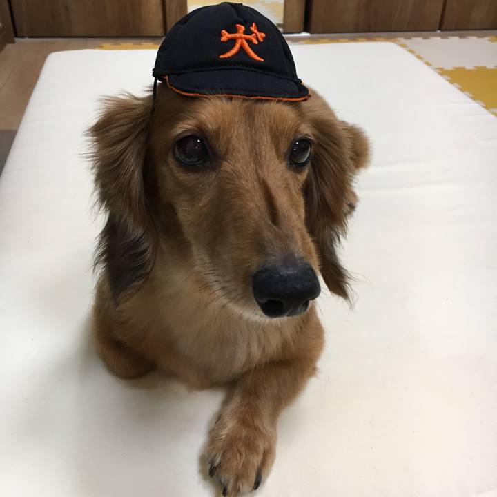 406f7637 10e1 4060 90bf 33b4fbdf7a35