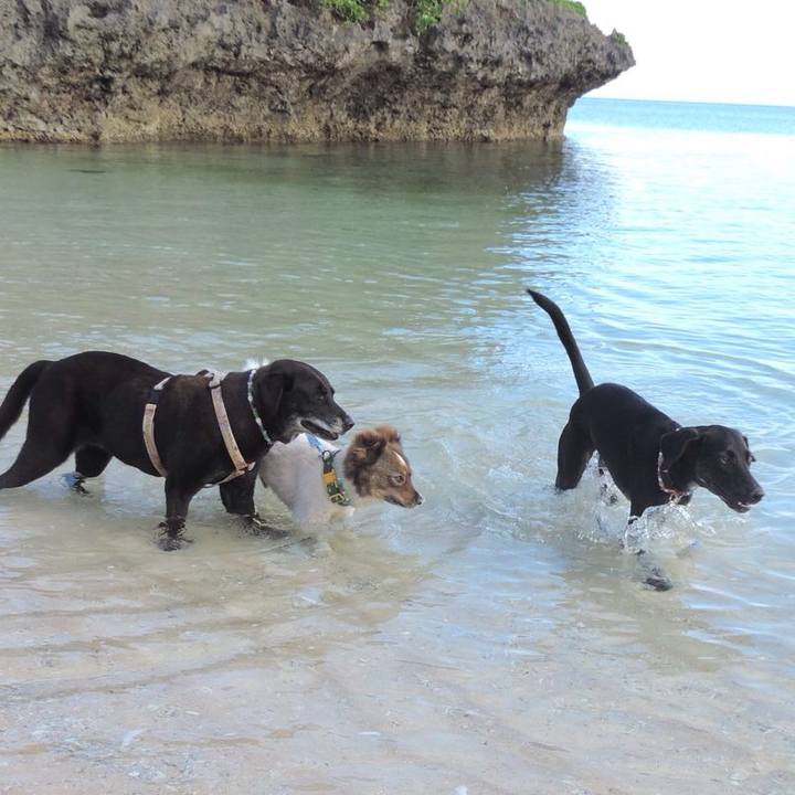 406f770d c006 48c4 91c8 2f838eaecaf0