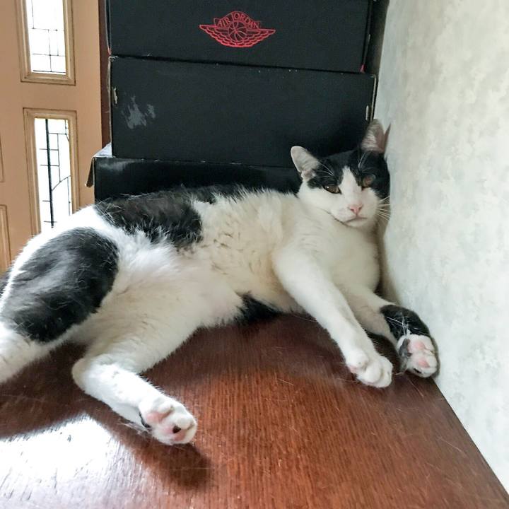 406fd1b3 5440 4b1d 87dc 3bb0b5f0411f