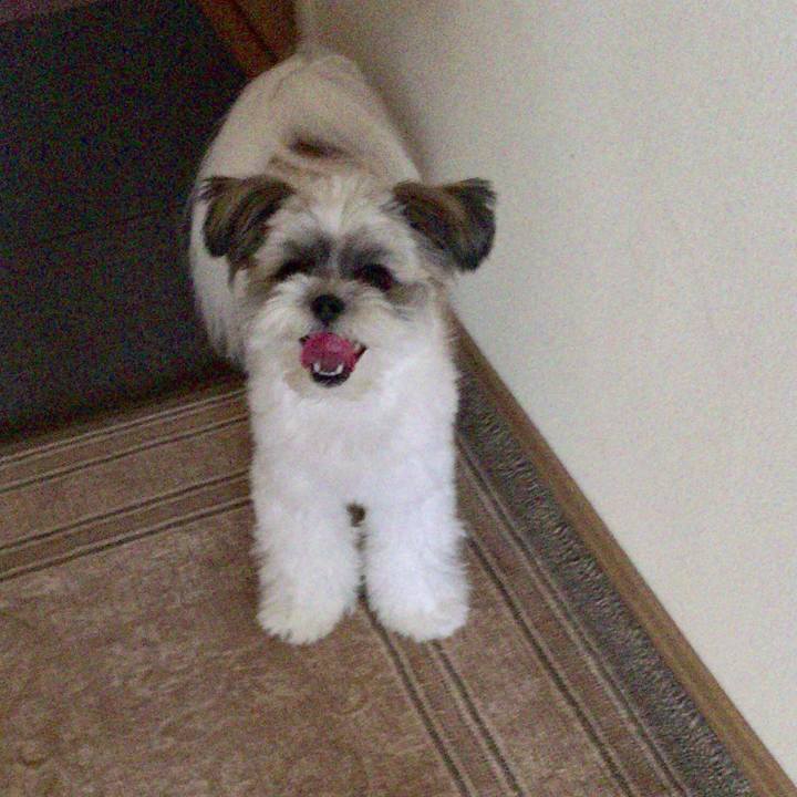 406fff2d 1b4c 4e17 bc18 08271401b651