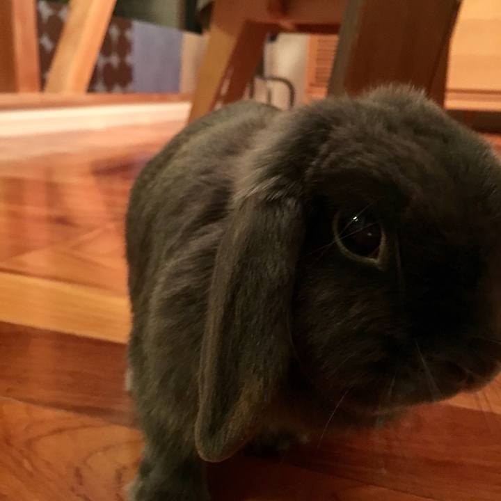 407046b9 5515 4446 9863 ad785ce84784