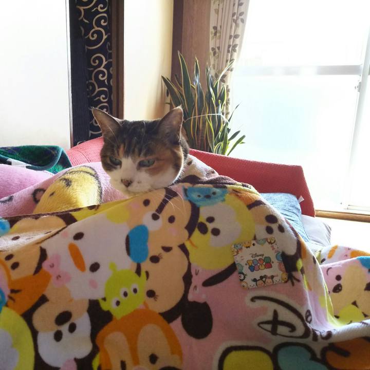 4070b4b2 4e03 4606 bfab cd1a84587b12