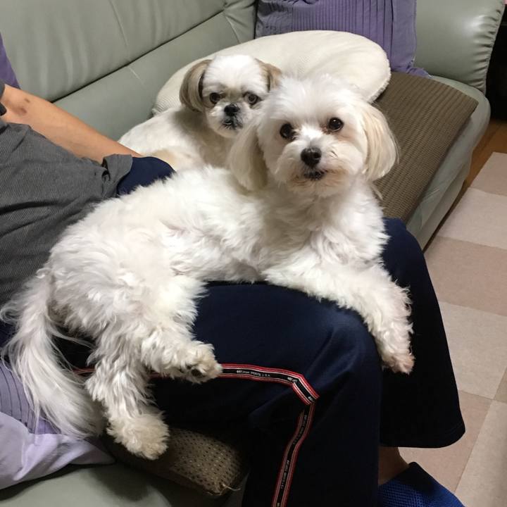 40714f47 5c0f 44ea 8f2e 7198a0a840d2