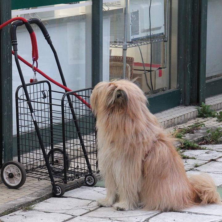 4071bce8 2cde 4a97 8eec 0f650737106d