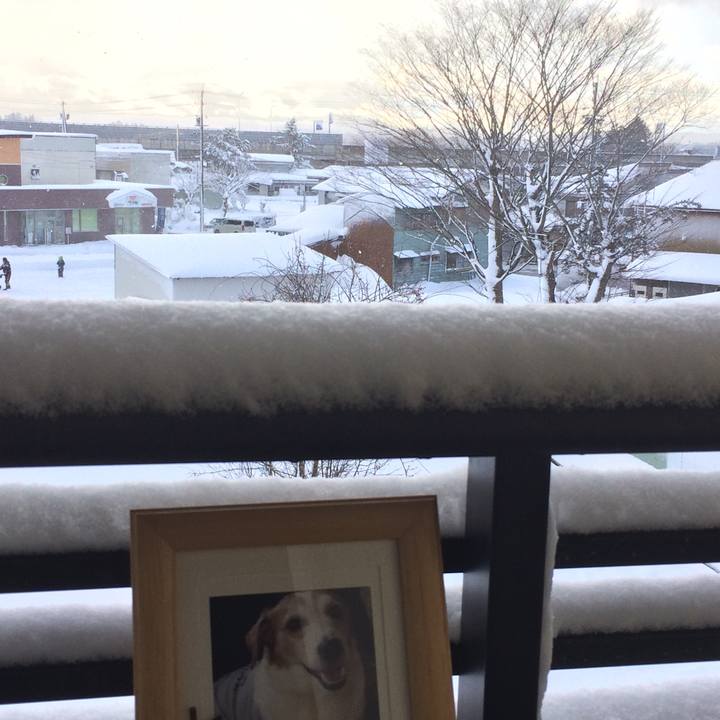 4071e708 2c43 4166 8583 34824fe4017b