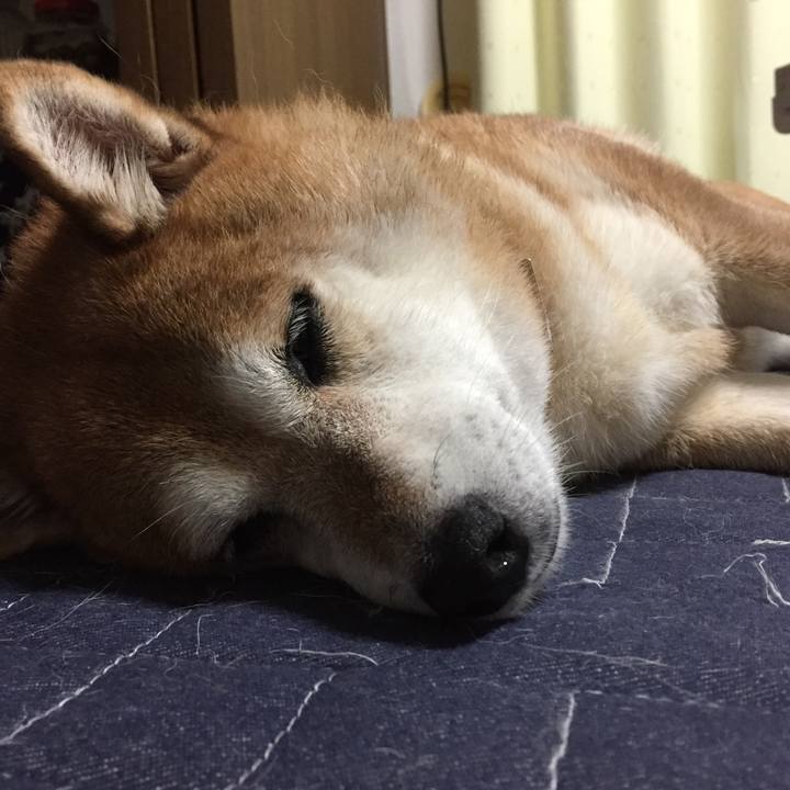 40723468 4342 4f98 a495 f8c9ed4d8653