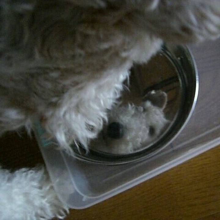 4072b2b2 6a51 4326 9877 0e7c23bf3c4b