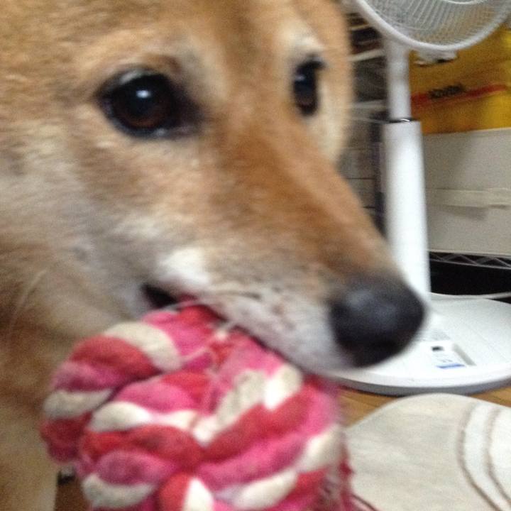 4072bcce cc95 4198 b66a 4cc740160d3b