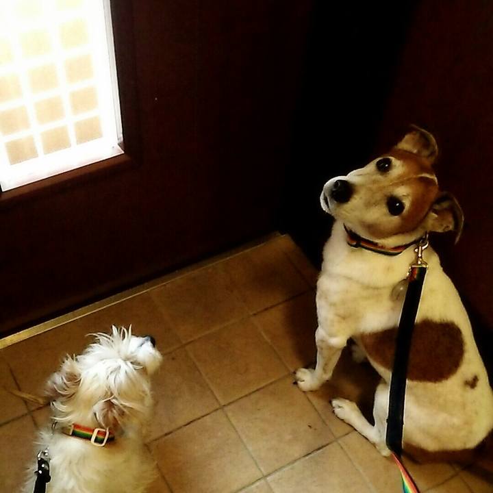 4072c3d3 9faa 42b8 a462 02c7a77f2828