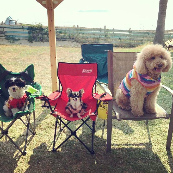 4073028a 2363 4a43 88f6 86af3bb3542a